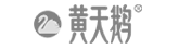 黄天鹅