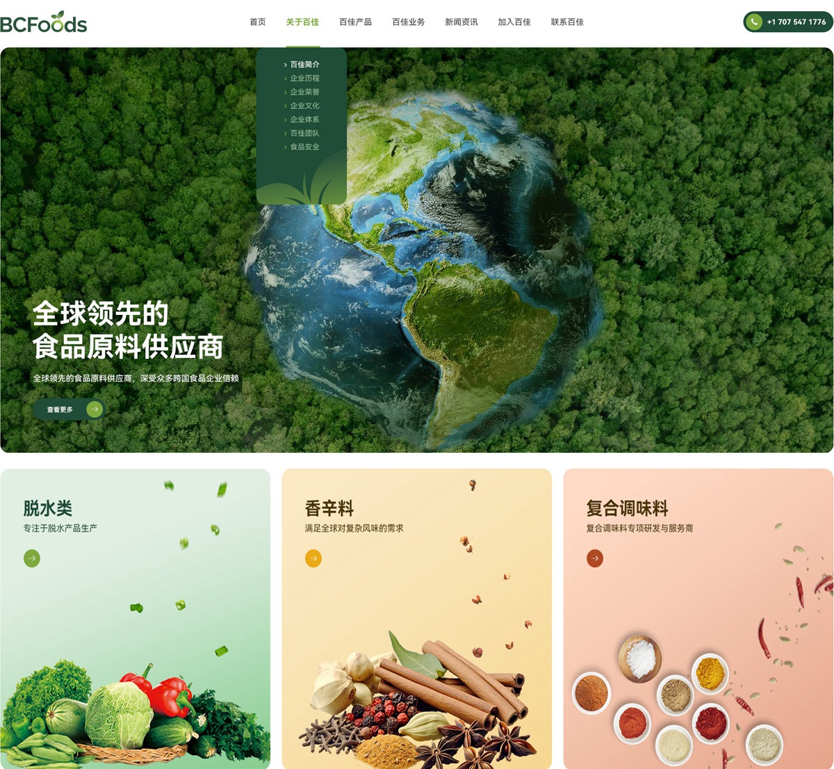 山东百佳食品